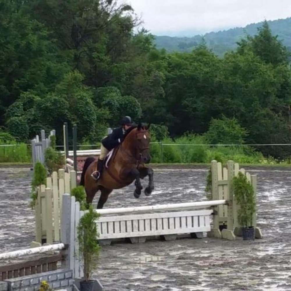 Meet your Posher, Hannah